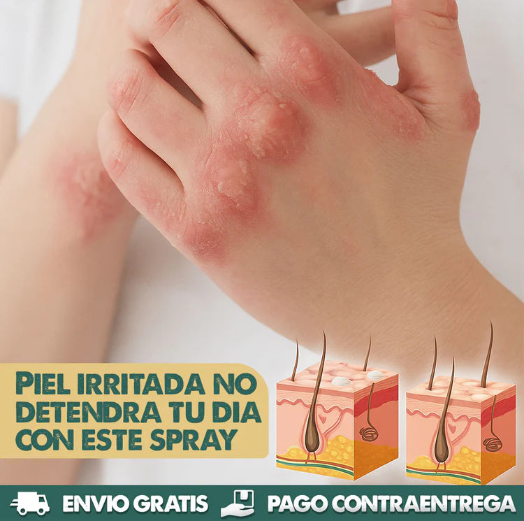 Encabezado